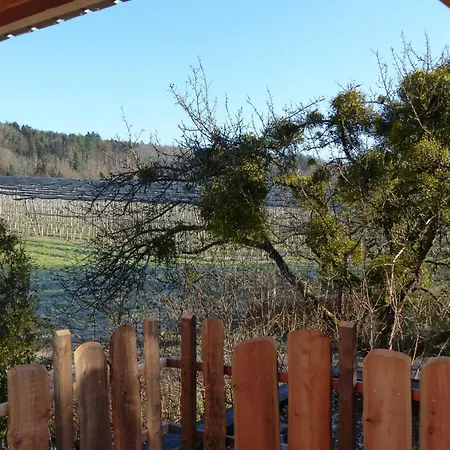 Daire Rehblick Markdorf